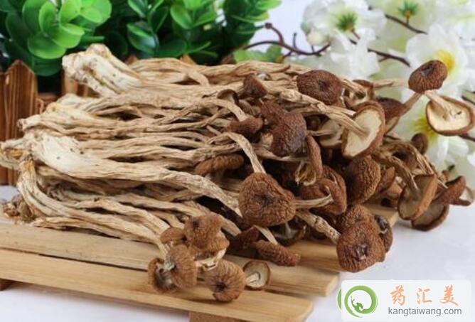 干茶樹菇能補腎嗎
