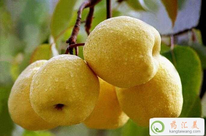 ׻֏ڿԳ