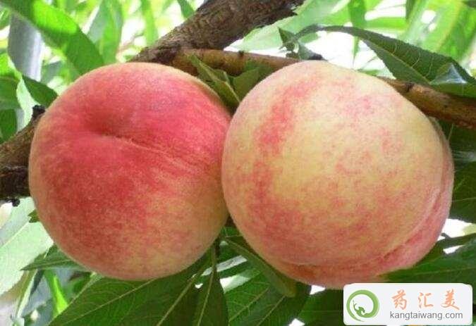 ׻֏ڳˮҺ