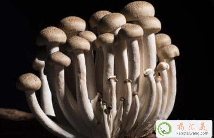 蘑菇與什么食物搭配吃效果最好 蘑菇與什么食物搭配吃效果最好