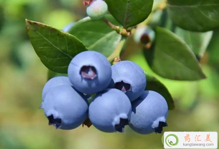 {ݮĠIBrֵ