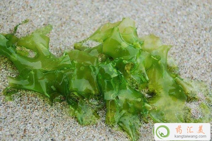 胰腺炎能吃海藻嗎