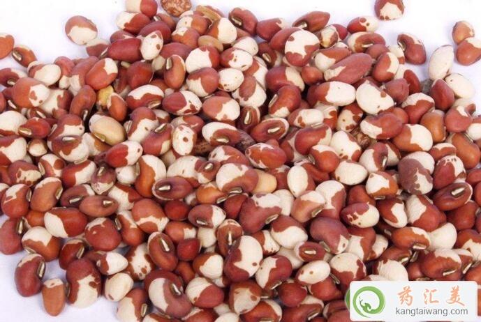 胰腺炎能吃花豆嗎